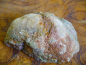 Preview: Thundereggs (Amulettstein) Australien Mt. Hay - Druse, handpoliert