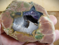 Preview: Thundereggs (Amulettstein) Australien Mt. Hay - Druse, handpoliert