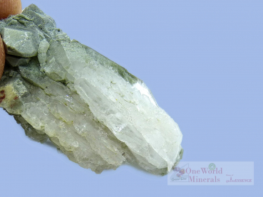 Bergkristall, Fadenquarz, Skardu, Pakistan/Himalaya