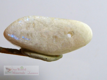 Preview: Mondstein aus Tansania, Schmuckanhänger mit seitlichem Blauschimmer  - Einzelstück