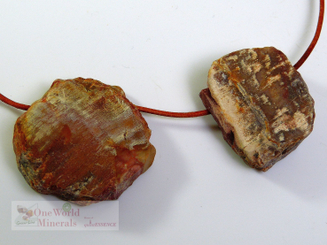 2 versteineres Holz Schmuckanhänger - gebohrt, Einzelstücke