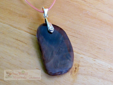 Preview: Versteinertes Holz, Anhänger mit Silberclip , Einzelstück