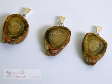 Versteinertes Holz, handgeschliffen, mit Silberöse, 3 Stk. - Unikate