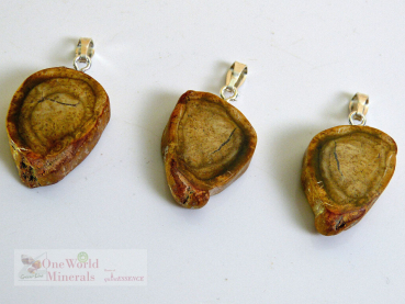 Preview: Versteinertes Holz, handgeschliffen, mit Silberöse, 3 Stk. - Unikate