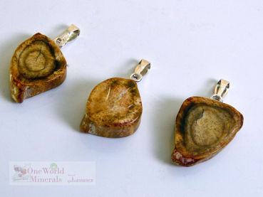 Preview: Versteinertes Holz, handgeschliffen, mit Silberöse, 3 Stk. - Unikate