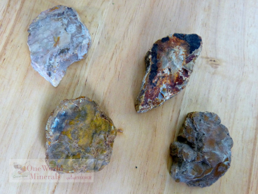 Preview: Versteinertes Holz, 4 polierte Scheiben - Unikate