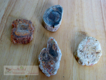 Preview: Versteinertes Holz, 4 polierte Scheiben - Unikate