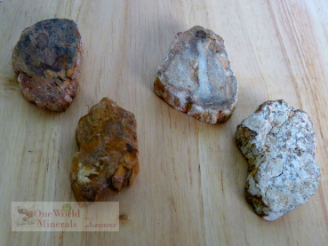 Preview: Versteinertes Holz, 4 polierte Scheiben - Unikate