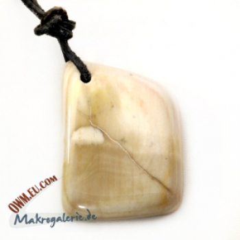 Preview: Versteinertes Holz, gebohrt, 3 Stück