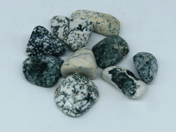 Baumachat, Größe XL, 200 g Pack., Botswana