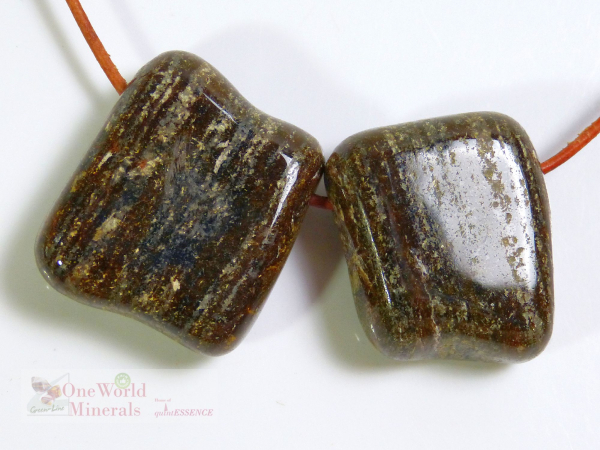 Golden Amphibolit, 2 flache Anhänger - Einzelstücke