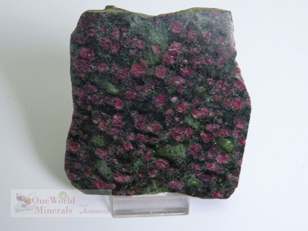 Handgeschliffene Granat-Pyroxenit (Eklogit) Scheibe - Einzelstück