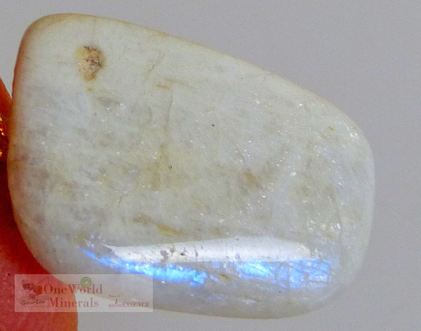 Mondstein, Schmuckanhänger mit Blauschimmer und Goldöse, Einzelstück