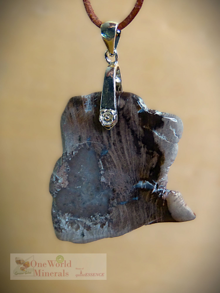 Versteinertes-Holz,  Schmuckanhänger , ein Einzelstück