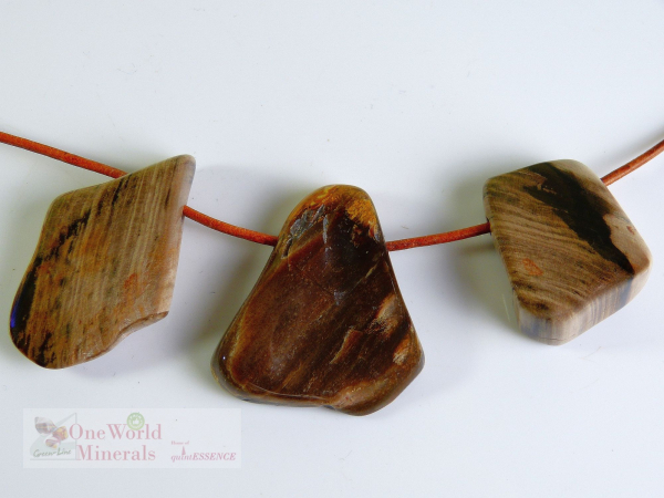 Versteineres Holz Schmuckanhänger, gebohrt, Einzelstücke