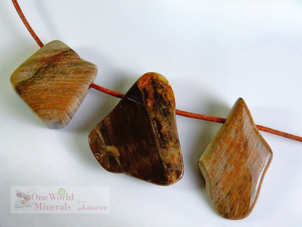 Versteineres Holz Schmuckanhänger, gebohrt, Einzelstücke