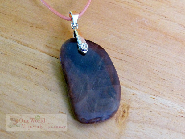 Versteinertes Holz, Anhänger mit Silberclip , Einzelstück