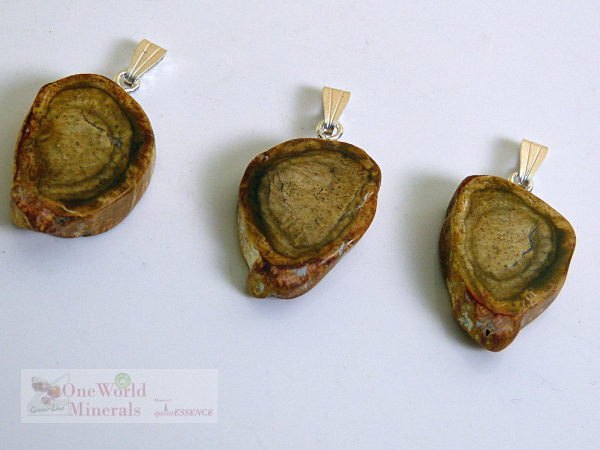 Versteinertes Holz, handgeschliffen, mit Silberöse, 3 Stk. - Unikate