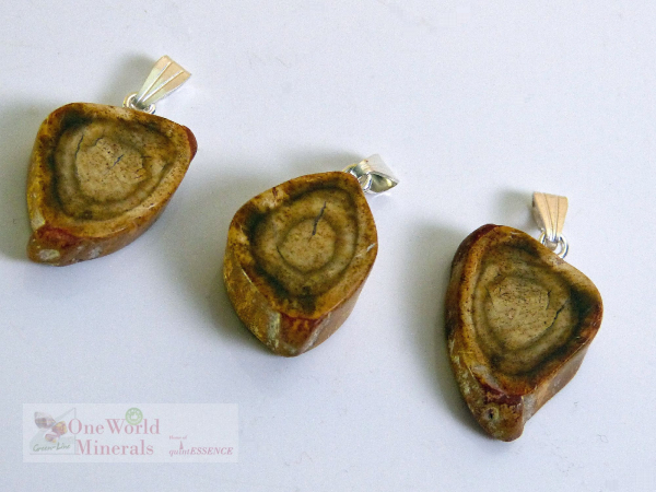 Versteinertes Holz, handgeschliffen, mit Silberöse, 3 Stk. - Unikate