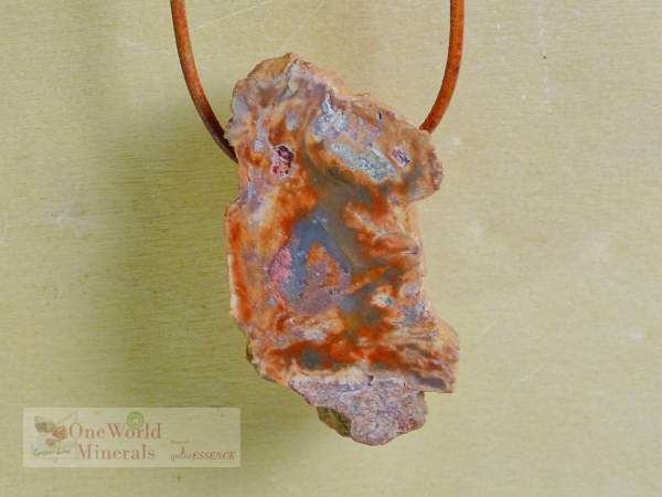 Versteinertes Holz, Anhänger handgeschliffen - Unikat