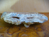 Chalcedon Rohstein mit Drusen